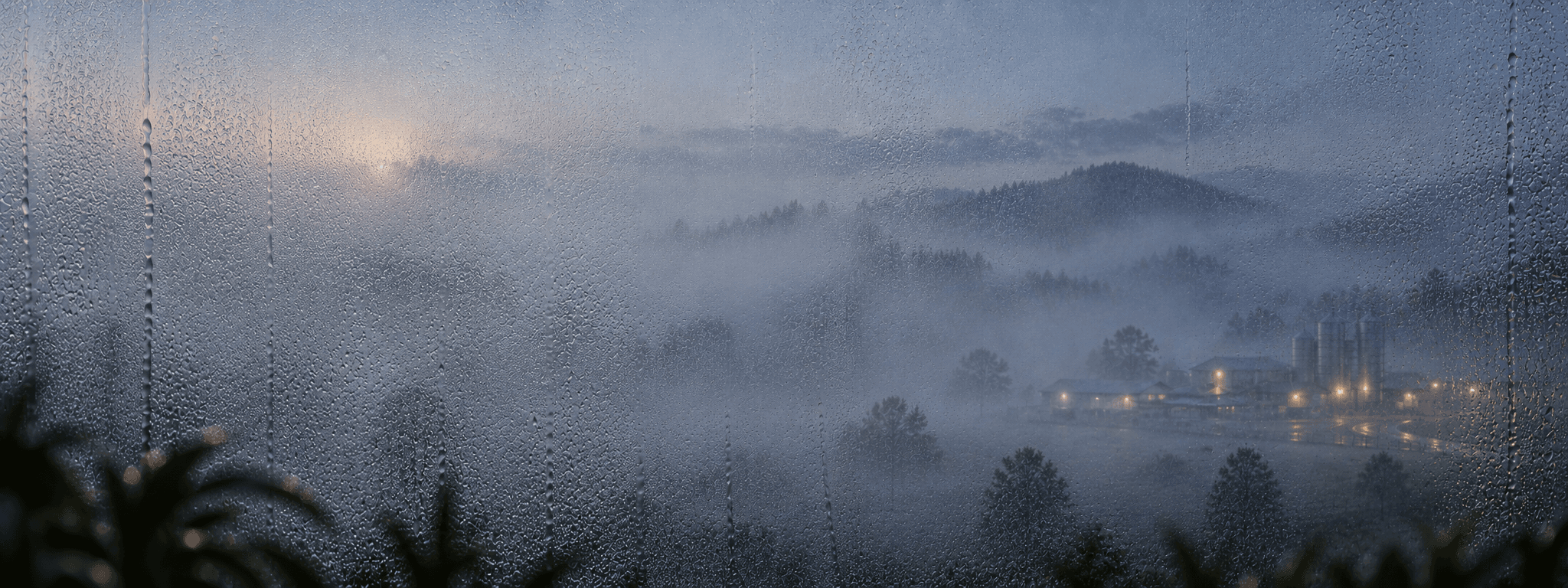 A misty dairy landscape at dawn